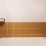 Olaias Design By Homing *