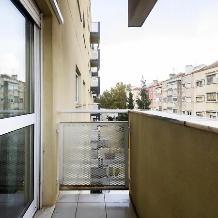 Olaias Design By Homing *