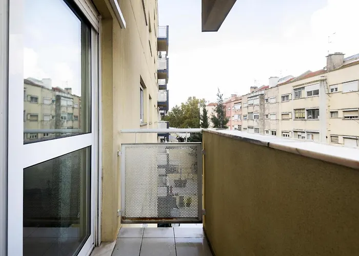 Olaias Design By Homing *