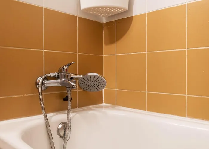 Olaias Design By Homing Lissabon